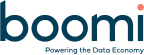 Digitide Solutions Limited - Boomi Logo