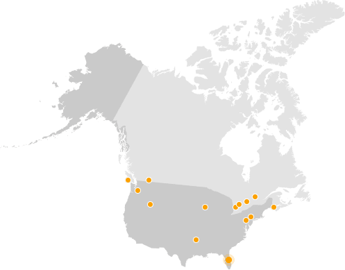gobal map - digitide