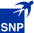 Digitide Solutions Limited - SNP Logo RGB 1 1 1
