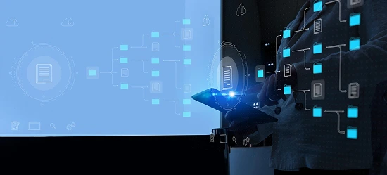 Digitide Solutions Limited - Risk Resilience