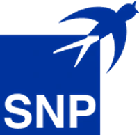 Digitide Solutions Limited - SNP Logo