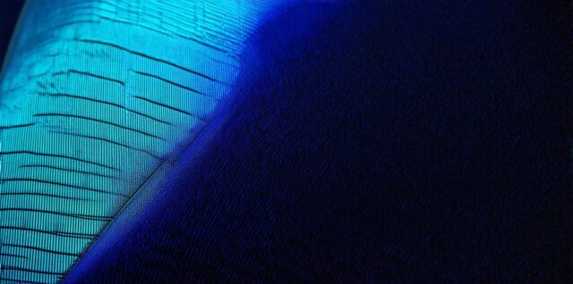 What does the mesh do in augmented reality